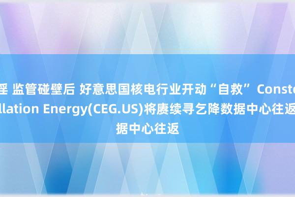 淫 监管碰壁后 好意思国核电行业开动“自救” Constellation Energy(CEG.US)将赓续寻乞降数据中心往返