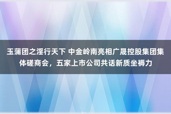 玉蒲团之淫行天下 中金岭南亮相广晟控股集团集体磋商会，五家上市公司共话新质坐褥力