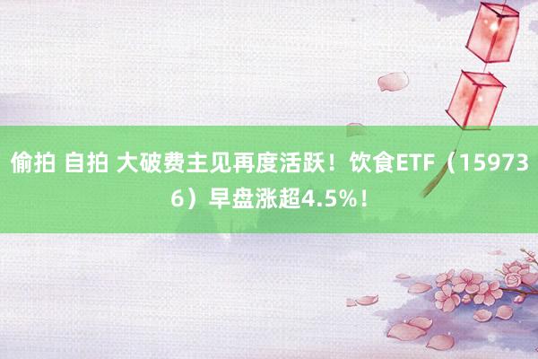 偷拍 自拍 大破费主见再度活跃！饮食ETF（159736）早盘涨超4.5%！