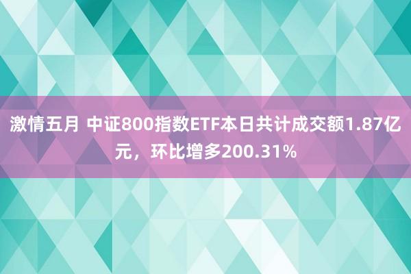 激情五月 中证800指数ETF本日共计成交额1.87亿元，环比增多200.31%