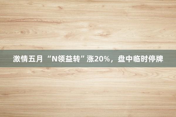 激情五月 “N领益转”涨20%，盘中临时停牌