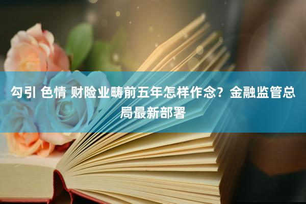 勾引 色情 财险业畴前五年怎样作念？金融监管总局最新部署