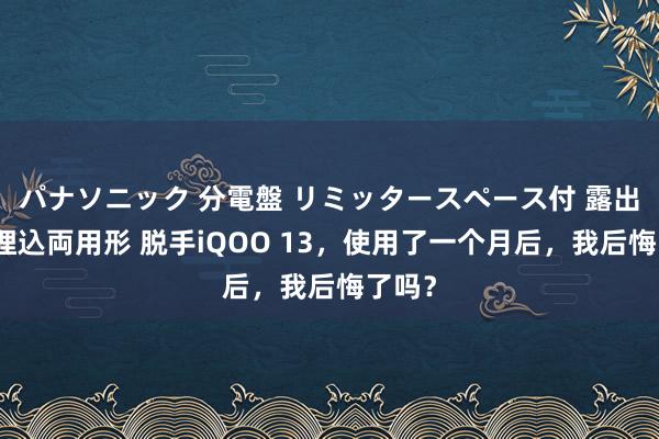 パナソニック 分電盤 リミッタースペース付 露出・半埋込両用形 脱手iQOO 13，使用了一个月后，我后悔了吗？