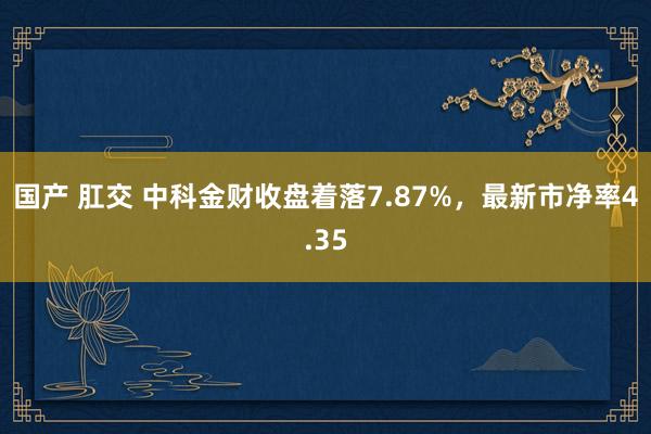 国产 肛交 中科金财收盘着落7.87%，最新市净率4.35