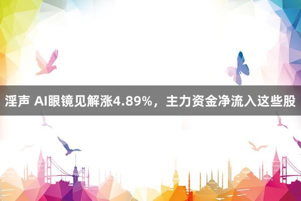 淫声 AI眼镜见解涨4.89%，主力资金净流入这些股