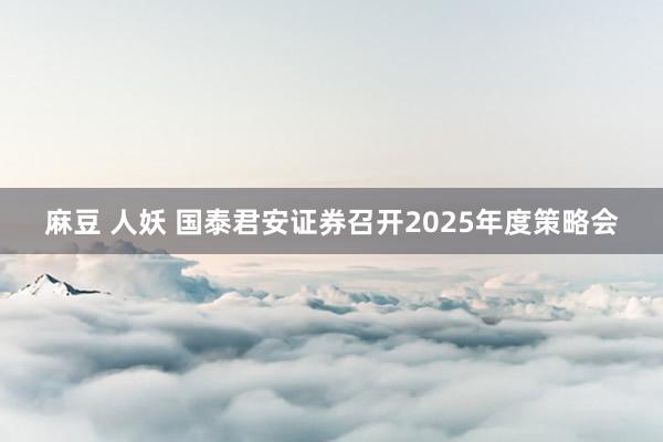 麻豆 人妖 国泰君安证券召开2025年度策略会