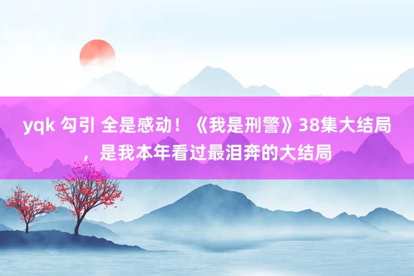 yqk 勾引 全是感动！《我是刑警》38集大结局，是我本年看过最泪奔的大结局