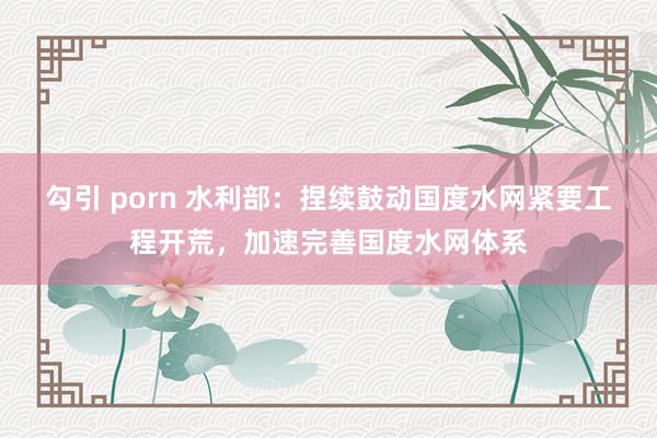 勾引 porn 水利部：捏续鼓动国度水网紧要工程开荒，加速完善国度水网体系