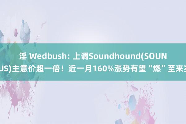 淫 Wedbush: 上调Soundhound(SOUN.US)主意价超一倍！近一月160%涨势有望“燃”至来岁