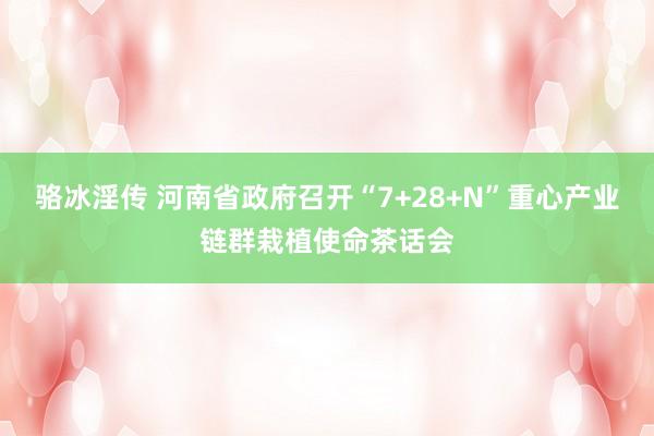 骆冰淫传 河南省政府召开“7+28+N”重心产业链群栽植使命茶话会