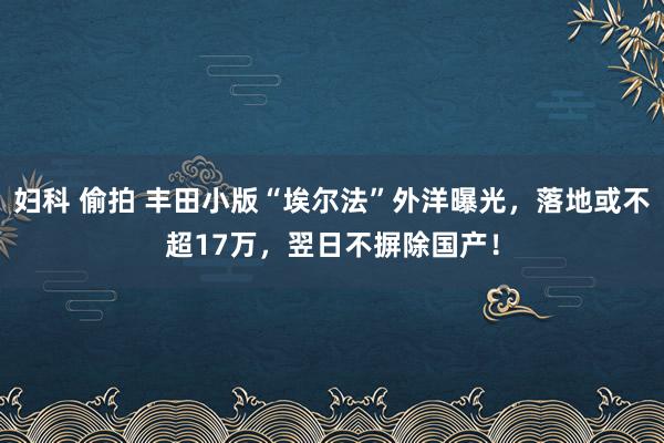 妇科 偷拍 丰田小版“埃尔法”外洋曝光，落地或不超17万，翌日不摒除国产！