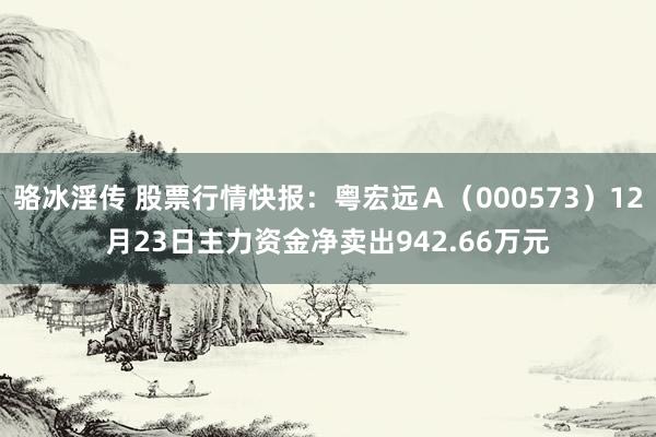 骆冰淫传 股票行情快报：粤宏远Ａ（000573）12月23日主力资金净卖出942.66万元