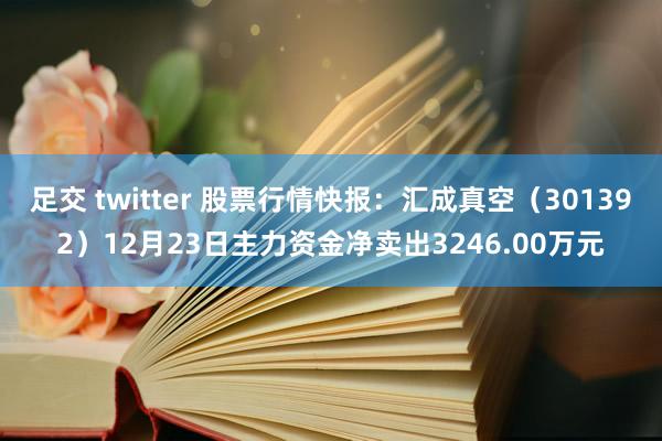 足交 twitter 股票行情快报：汇成真空（301392）12月23日主力资金净卖出3246.00万元