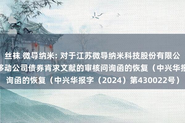 丝袜 微导纳米: 对于江苏微导纳米科技股份有限公司向不特定对象刊行可移动公司债券肯求文献的审核问询函的恢复（中兴华报字（2024）第430022号）