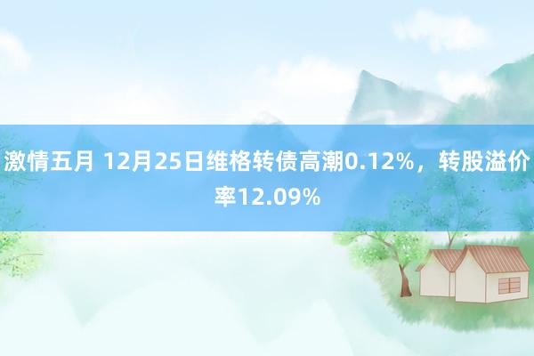 激情五月 12月25日维格转债高潮0.12%，转股溢价率12.09%