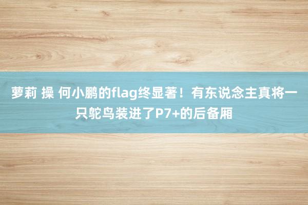 萝莉 操 何小鹏的flag终显著！有东说念主真将一只鸵鸟装进了P7+的后备厢