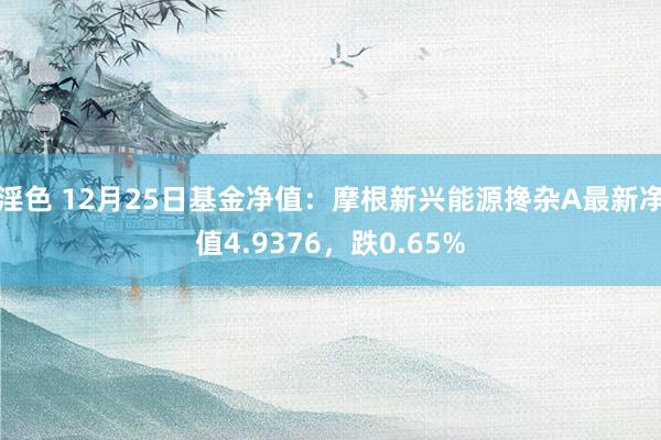 淫色 12月25日基金净值：摩根新兴能源搀杂A最新净值4.9376，跌0.65%