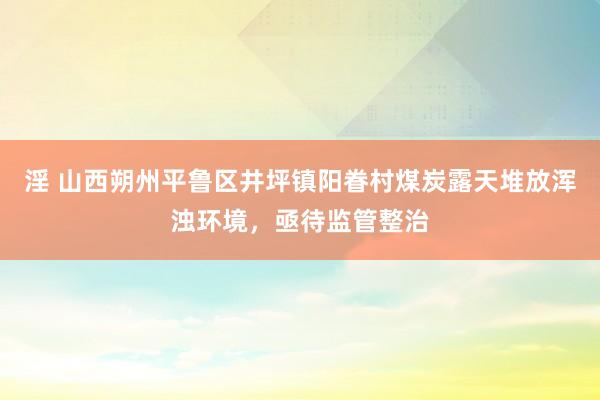 淫 山西朔州平鲁区井坪镇阳眷村煤炭露天堆放浑浊环境，亟待监管整治