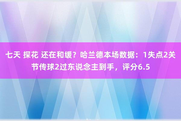 七天 探花 还在和缓？哈兰德本场数据：1失点2关节传球2过东说念主到手，评分6.5