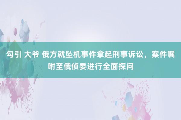 勾引 大爷 俄方就坠机事件拿起刑事诉讼，案件嘱咐至俄侦委进行全面探问