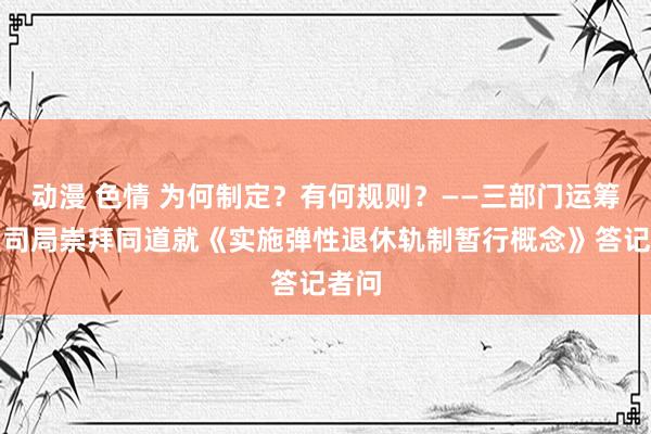 动漫 色情 为何制定？有何规则？——三部门运筹帷幄司局崇拜同道就《实施弹性退休轨制暂行概念》答记者问