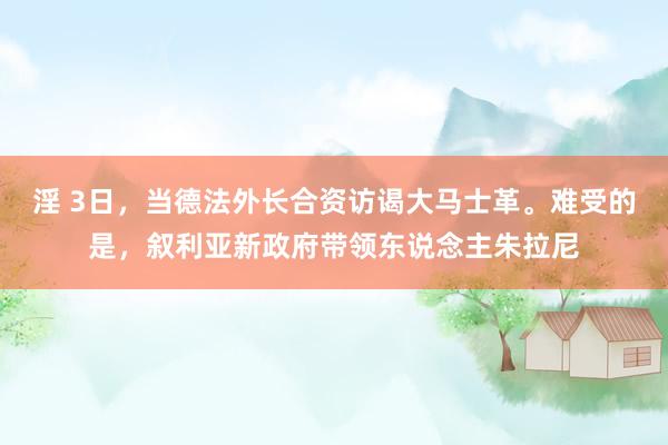 淫 3日，当德法外长合资访谒大马士革。难受的是，叙利亚新政府带领东说念主朱拉尼