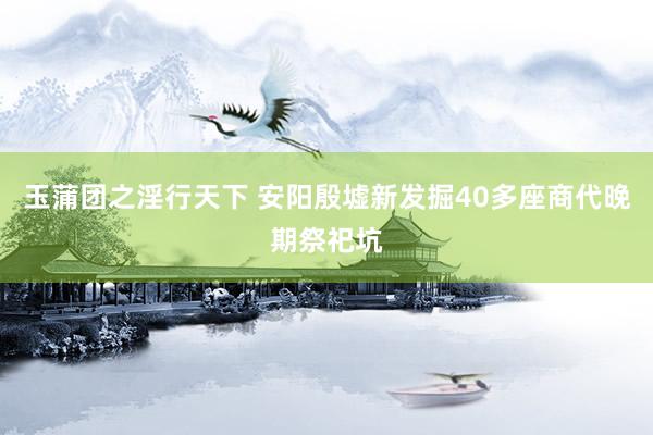 玉蒲团之淫行天下 安阳殷墟新发掘40多座商代晚期祭祀坑