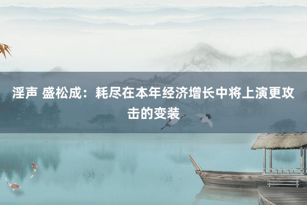 淫声 盛松成：耗尽在本年经济增长中将上演更攻击的变装