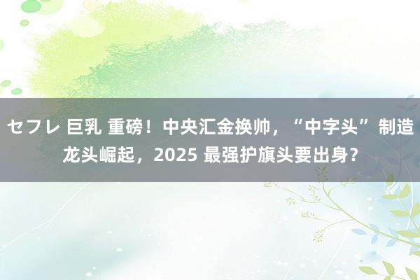 セフレ 巨乳 重磅！中央汇金换帅，“中字头” 制造龙头崛起，2025 最强护旗头要出身？