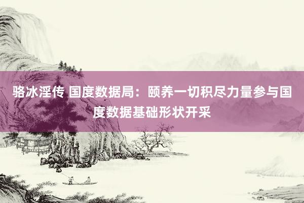 骆冰淫传 国度数据局：颐养一切积尽力量参与国度数据基础形状开采