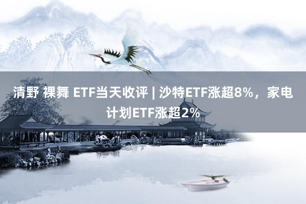 清野 裸舞 ETF当天收评 | 沙特ETF涨超8%，家电计划ETF涨超2%