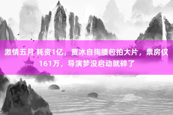 激情五月 耗资1亿，贾冰自掏腰包拍大片，票房仅161万，导演梦没启动就碎了