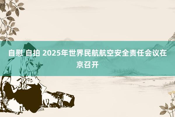 自慰 自拍 2025年世界民航航空安全责任会议在京召开