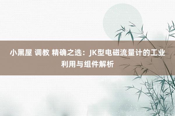 小黑屋 调教 精确之选：JK型电磁流量计的工业利用与组件解析