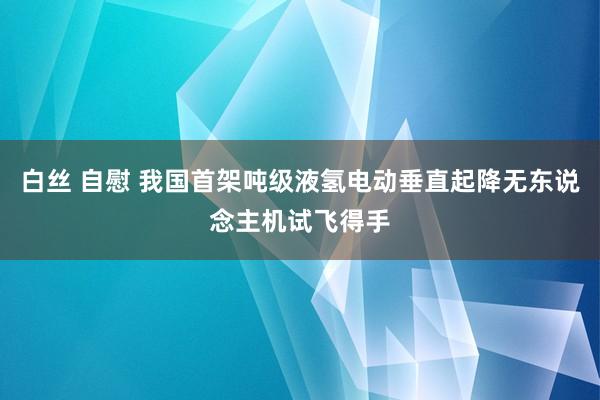 白丝 自慰 我国首架吨级液氢电动垂直起降无东说念主机试飞得手