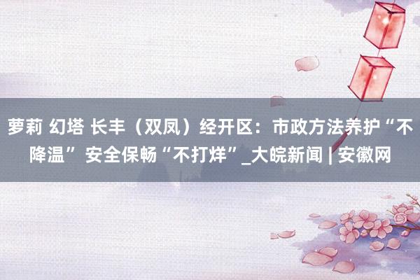 萝莉 幻塔 长丰（双凤）经开区：市政方法养护“不降温” 安全保畅“不打烊”_大皖新闻 | 安徽网