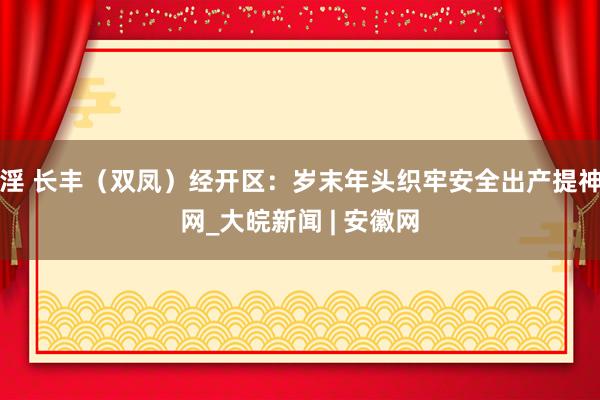 淫 长丰（双凤）经开区：岁末年头织牢安全出产提神网_大皖新闻 | 安徽网